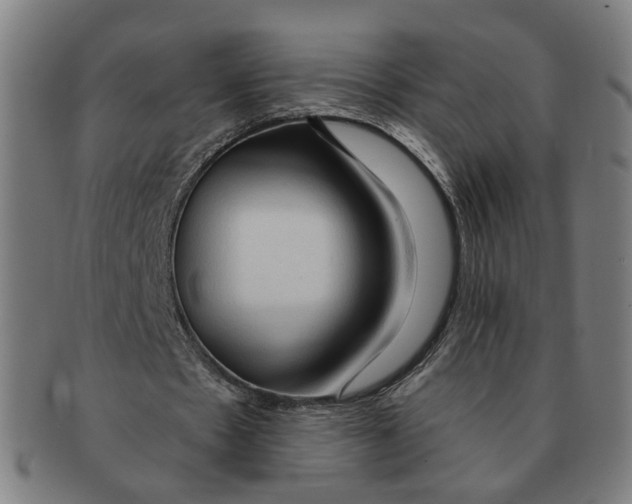 X0000090980481200708301252