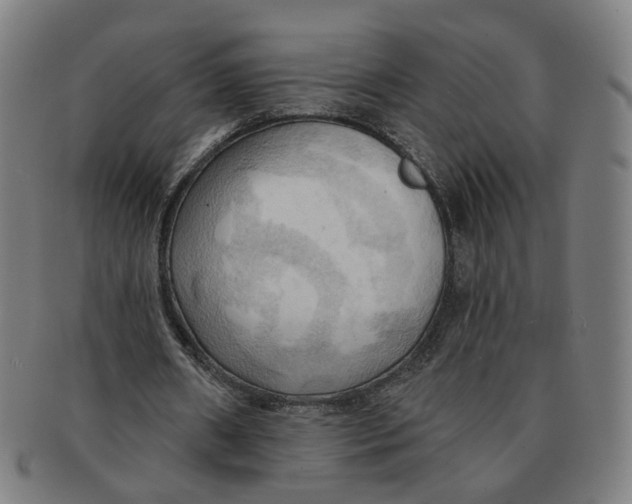 X0000090980482200708301252