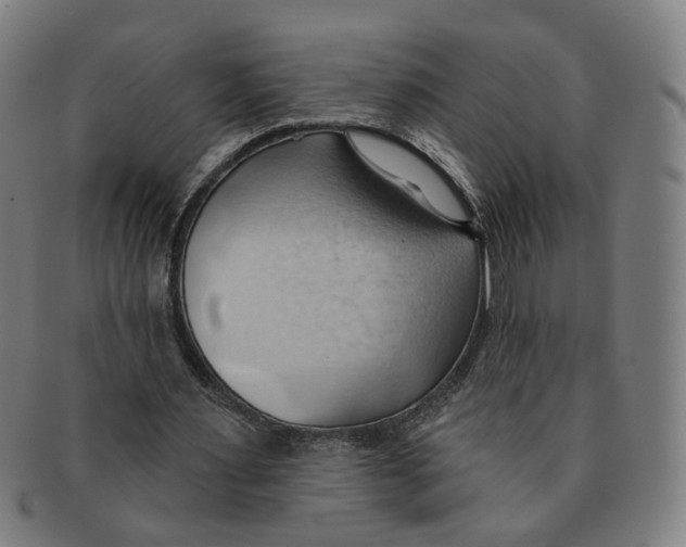 X0000090980483200708301252