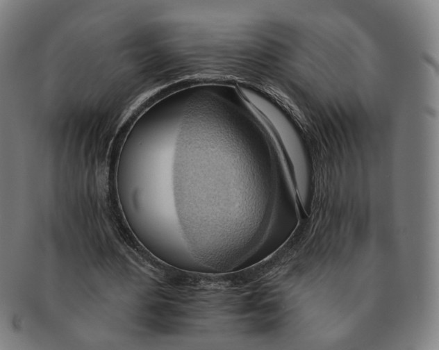 X0000090980484200708301252