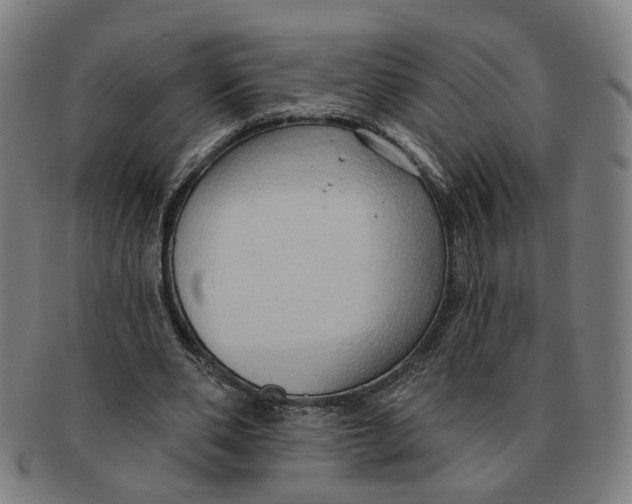 X0000090980486200708301252