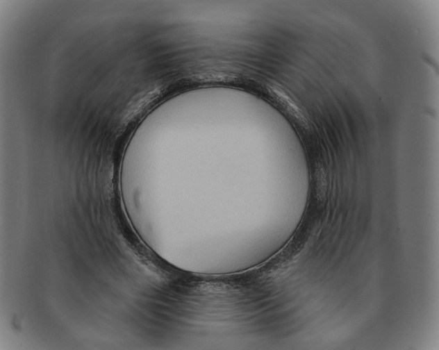 X0000090980490200708301252