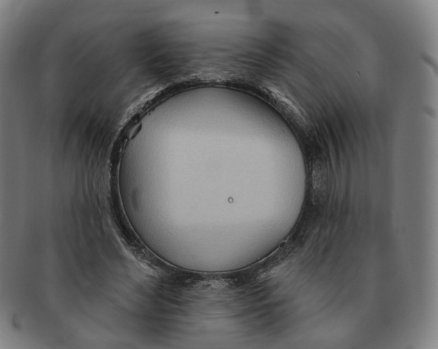 X0000090980492200708301252