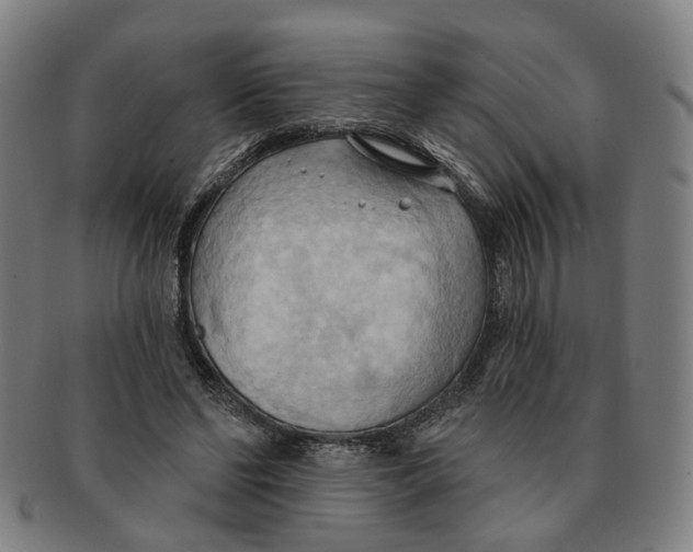 X0000090980494200708301252