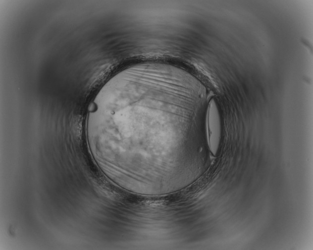 X0000090980495200708301252