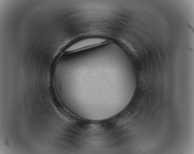 X0000090980496200708301252