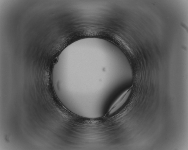 X0000090980497200708301252