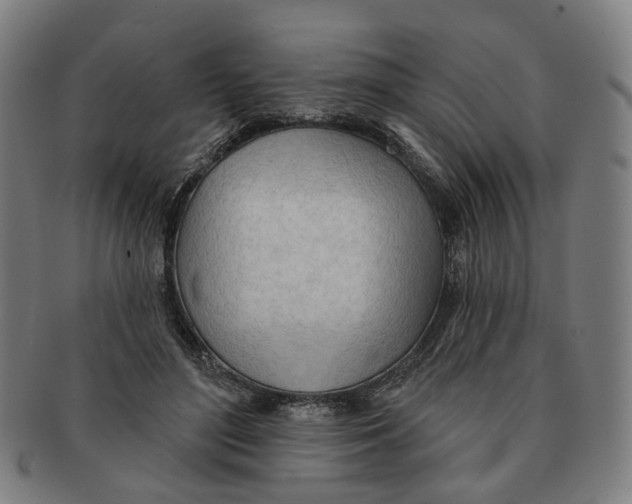 X0000090980500200708301252