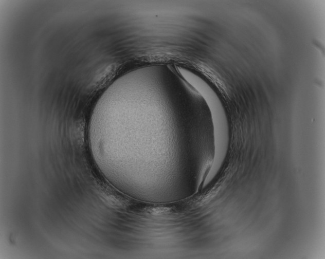 X0000090980501200708301252