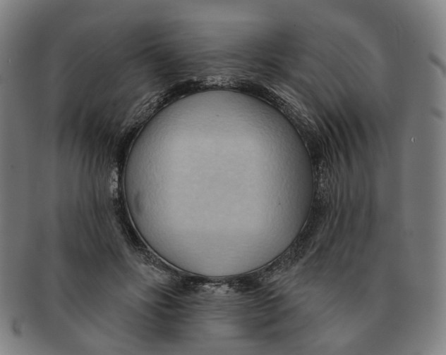 X0000090980502200708301252