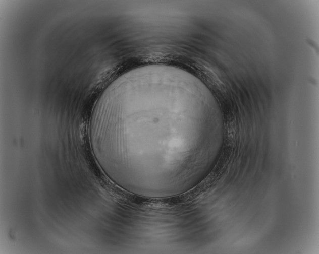 X0000090980503200708301252
