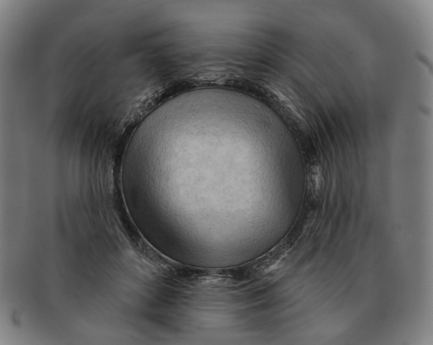X0000090980504200708301252