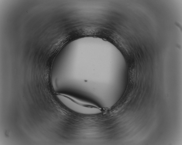 X0000090980505200708301252