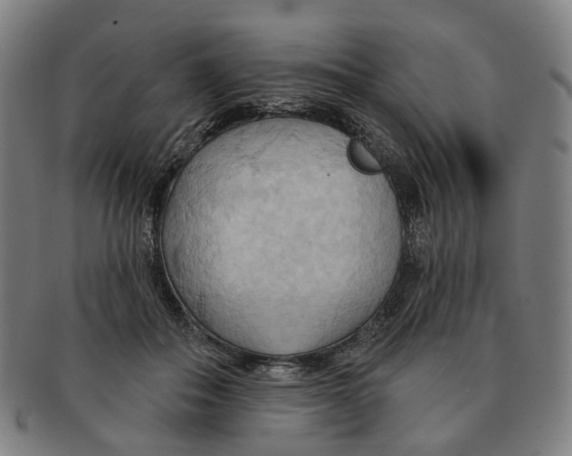 X0000090980506200708301252