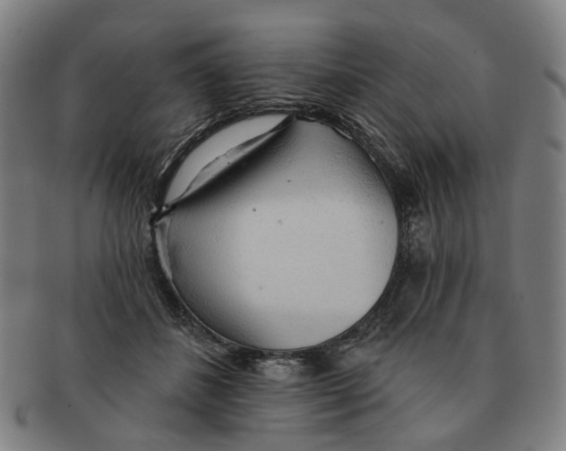 X0000090980508200708301252
