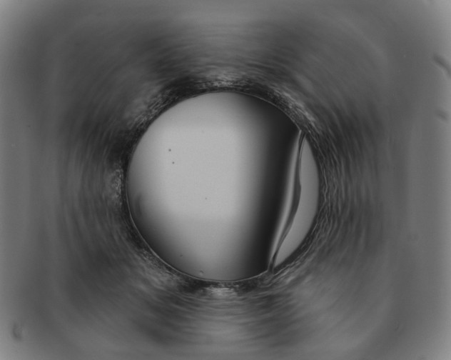 X0000090980509200708301252
