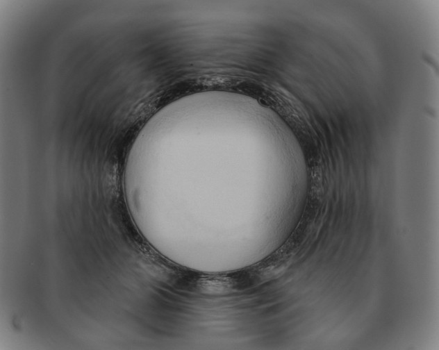 X0000090980510200708301252
