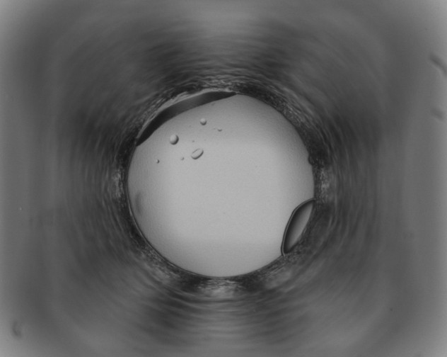 X0000090980514200708301252