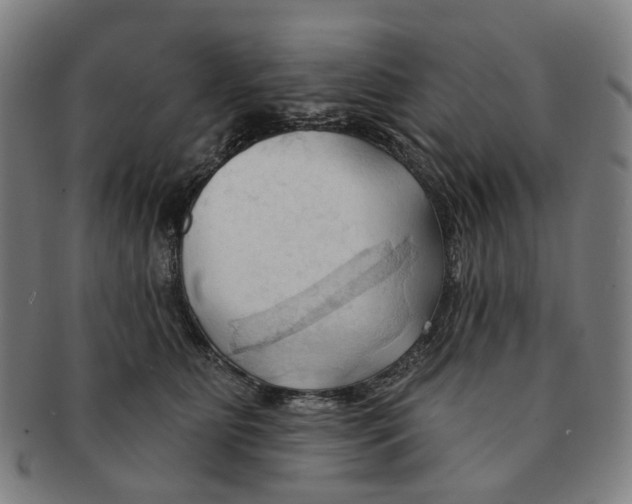 X0000090980515200708301252