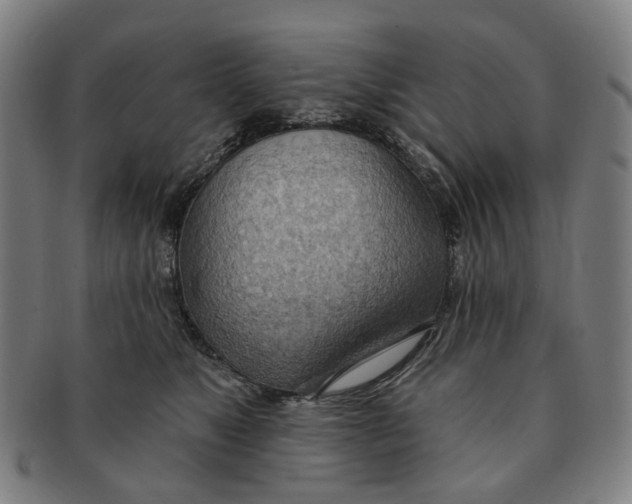 X0000090980517200708301252