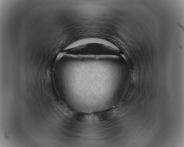 X0000090980520200708301252