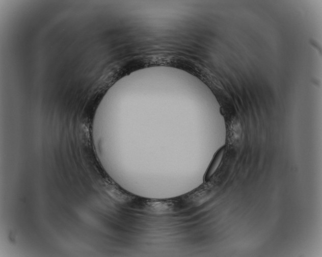X0000090980522200708301252