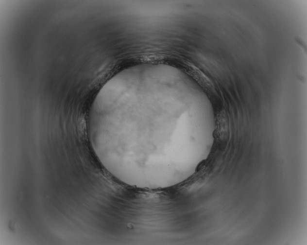 X0000090980523200708301252