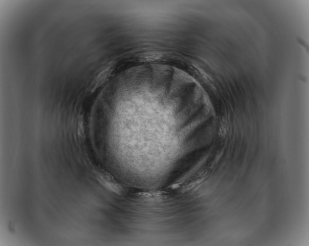 X0000090980524200708301252