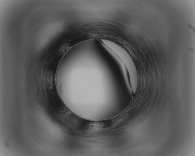 X0000090980525200708301252