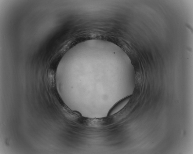 X0000090980527200708301252