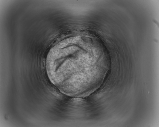 X0000090980528200708301252