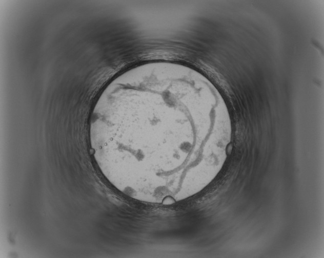 X0000090980529200708301251