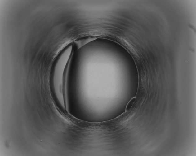 X0000090980530200708301251