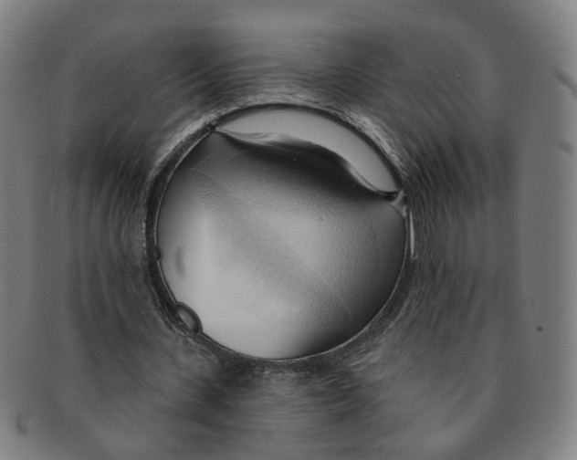 X0000090980531200708301251