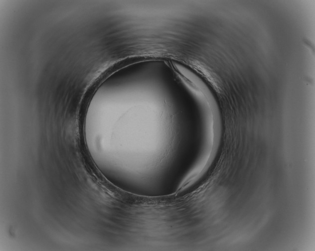 X0000090980532200708301251