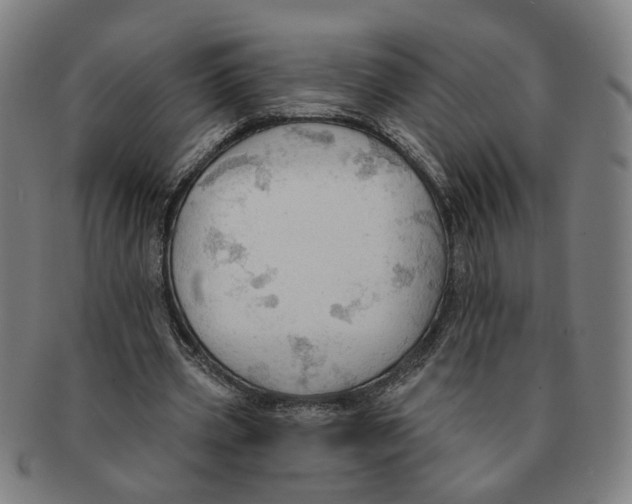 X0000090980533200708301251