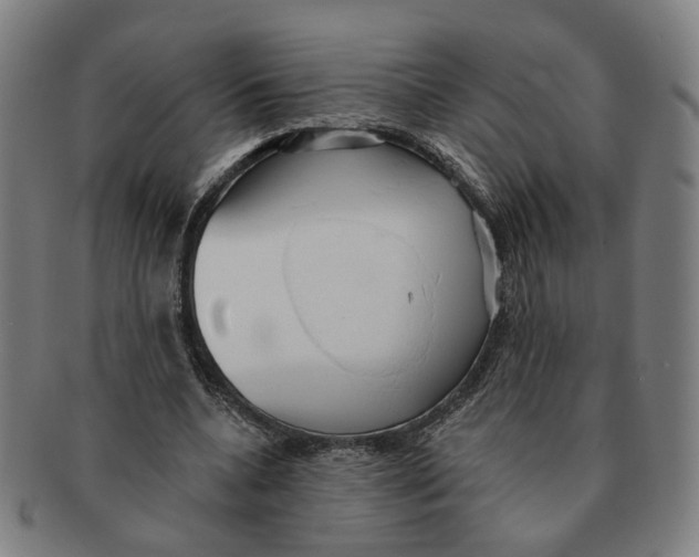 X0000090980536200708301251