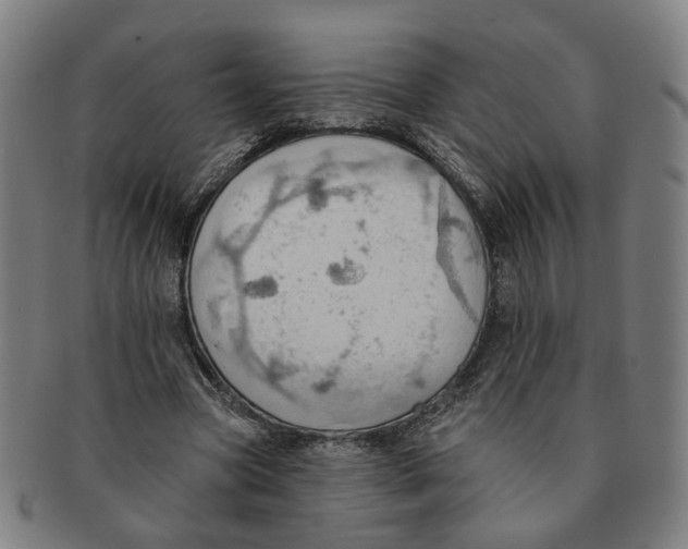 X0000090980537200708301251