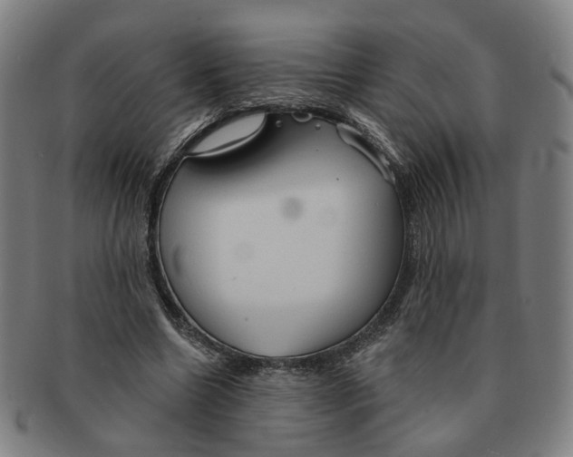 X0000090980538200708301251