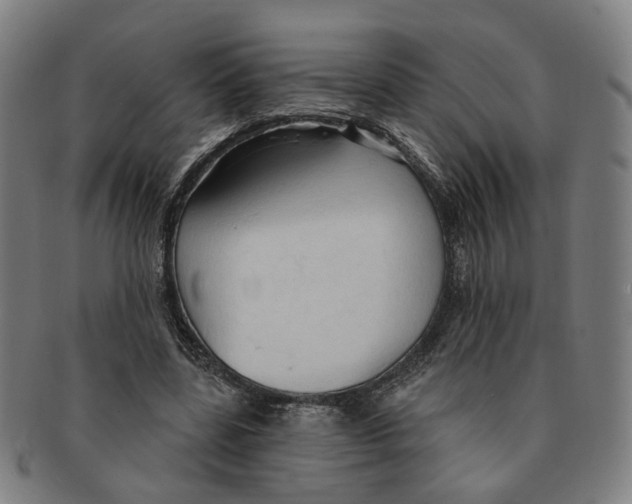 X0000090980539200708301251
