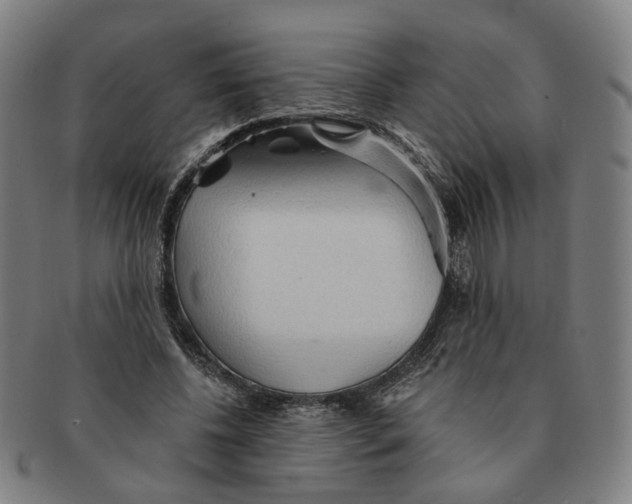X0000090980540200708301251