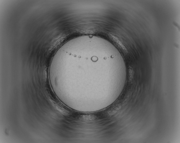 X0000090980541200708301251