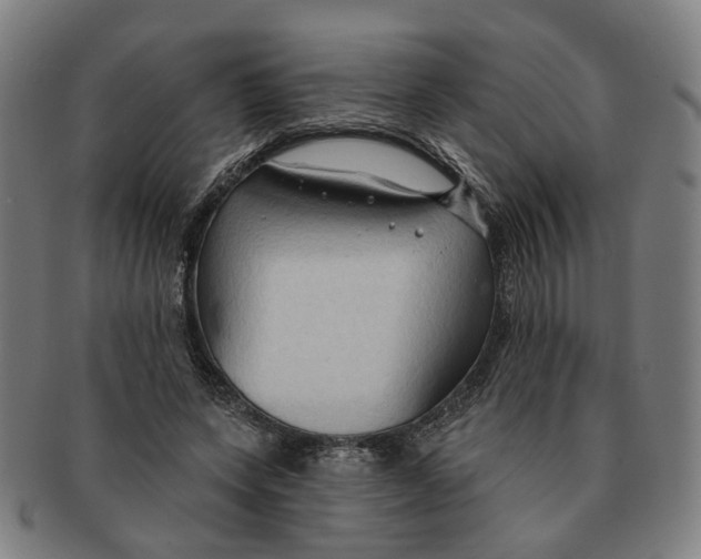 X0000090980543200708301251