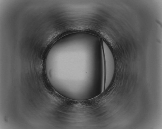 X0000090980544200708301251