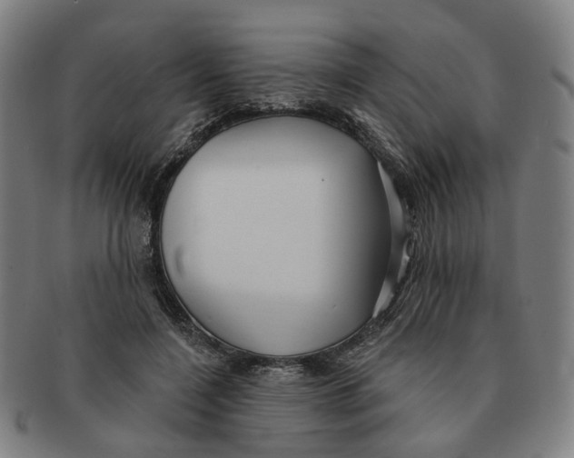 X0000090980548200708301251