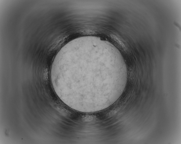 X0000090980549200708301251