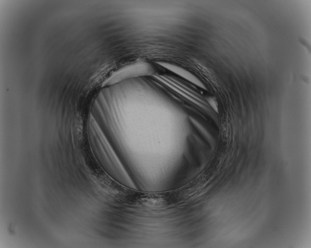 X0000090980552200708301251