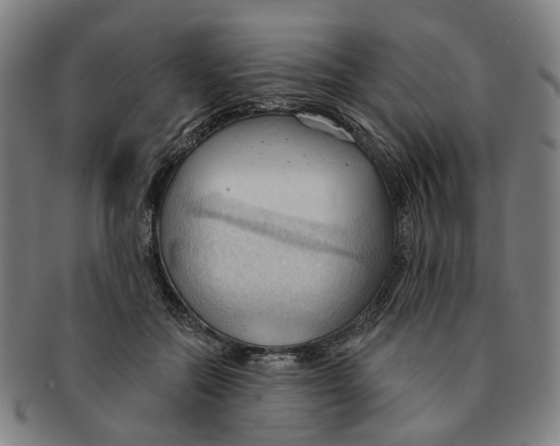 X0000090980554200708301251