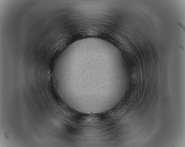 X0000090980555200708301251