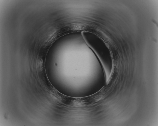 X0000090980556200708301251